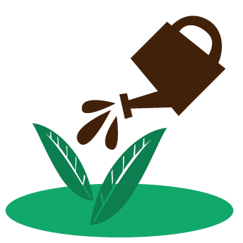 Your Ultimate Gardening Guide: From Indoor Plants to Balcony Oasis