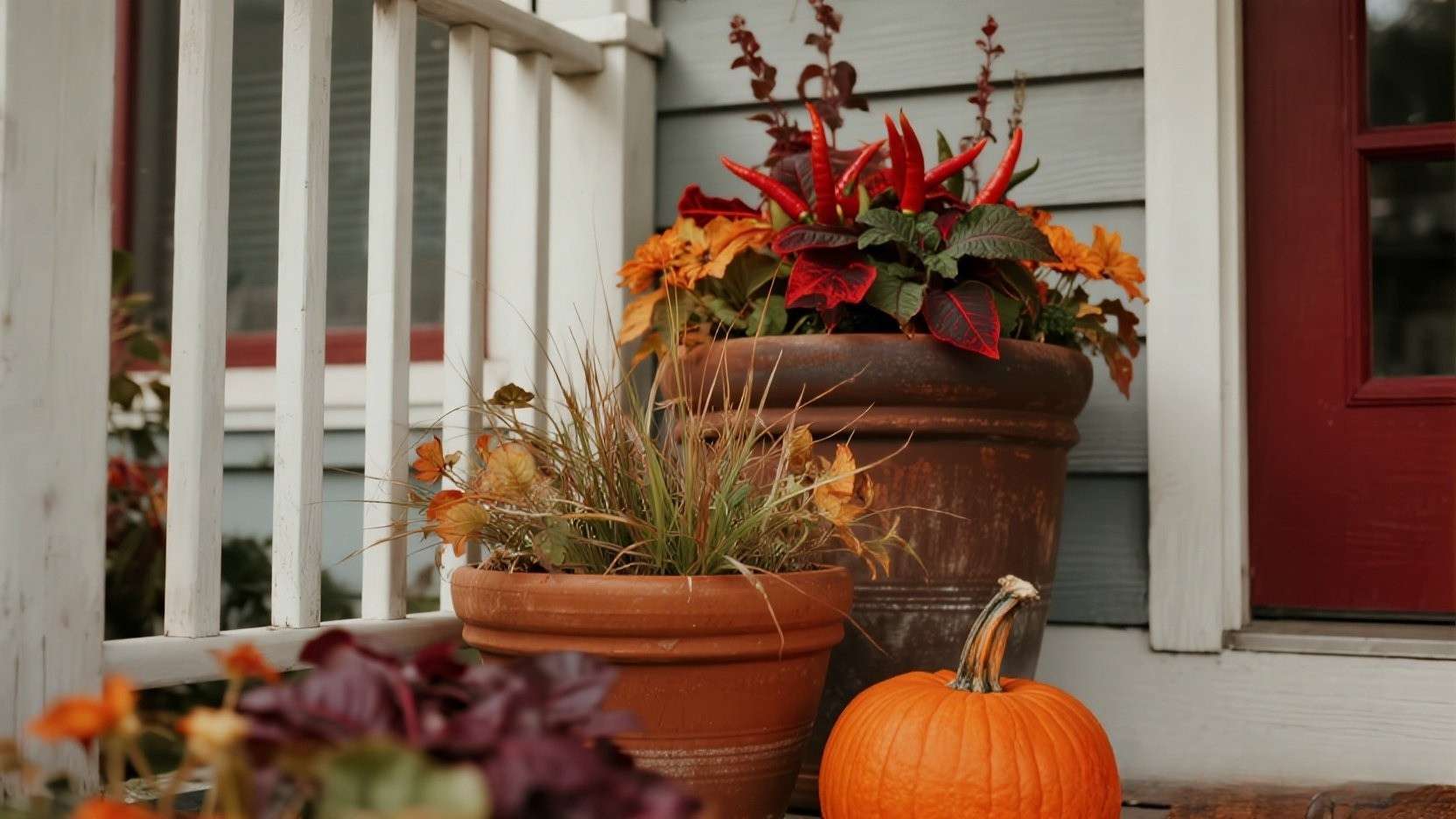 From Summer-Tired to Fall-Fresh: Swap-Ins When Your Entry Pots Fade 🍂🌶️
