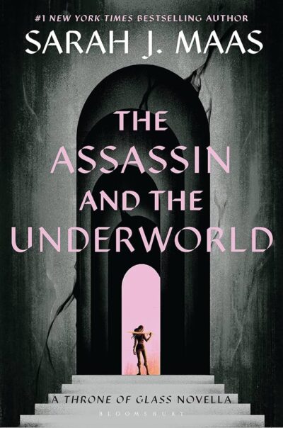 The Assassin and the Underworld Cover