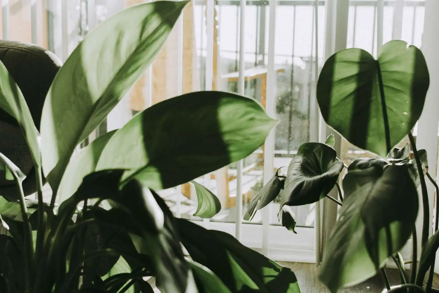 The Power of Nature to Revamp Your Marketing Plan