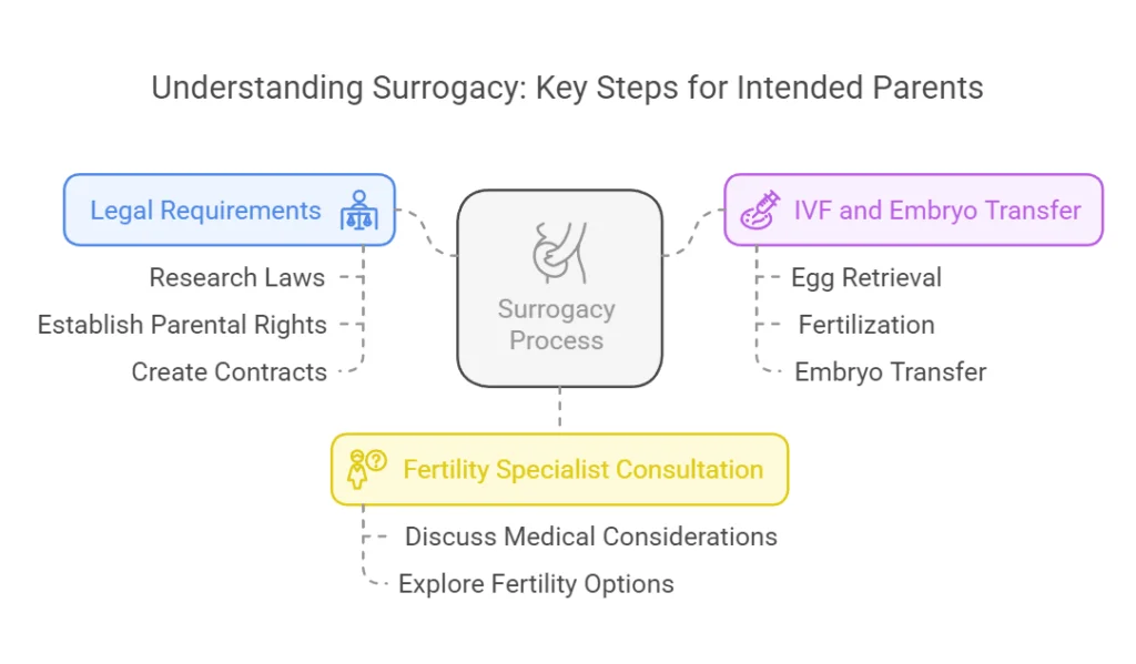 Understand the Surrogacy Process