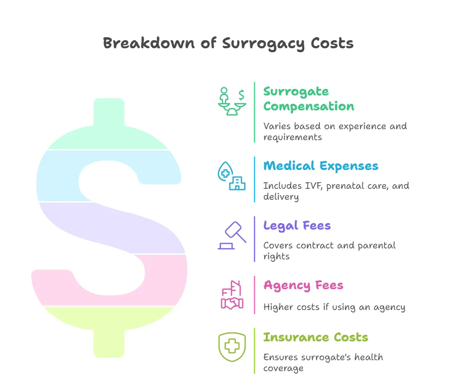 Breakdown of Surrogacy Costs in Houston