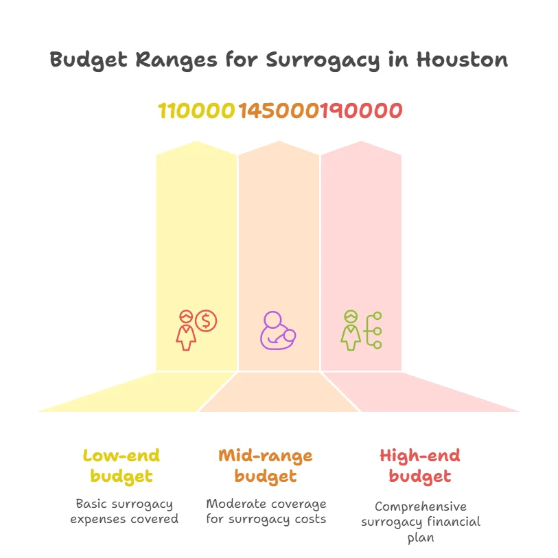 Budget Ranges for Surrogacy in Houston
