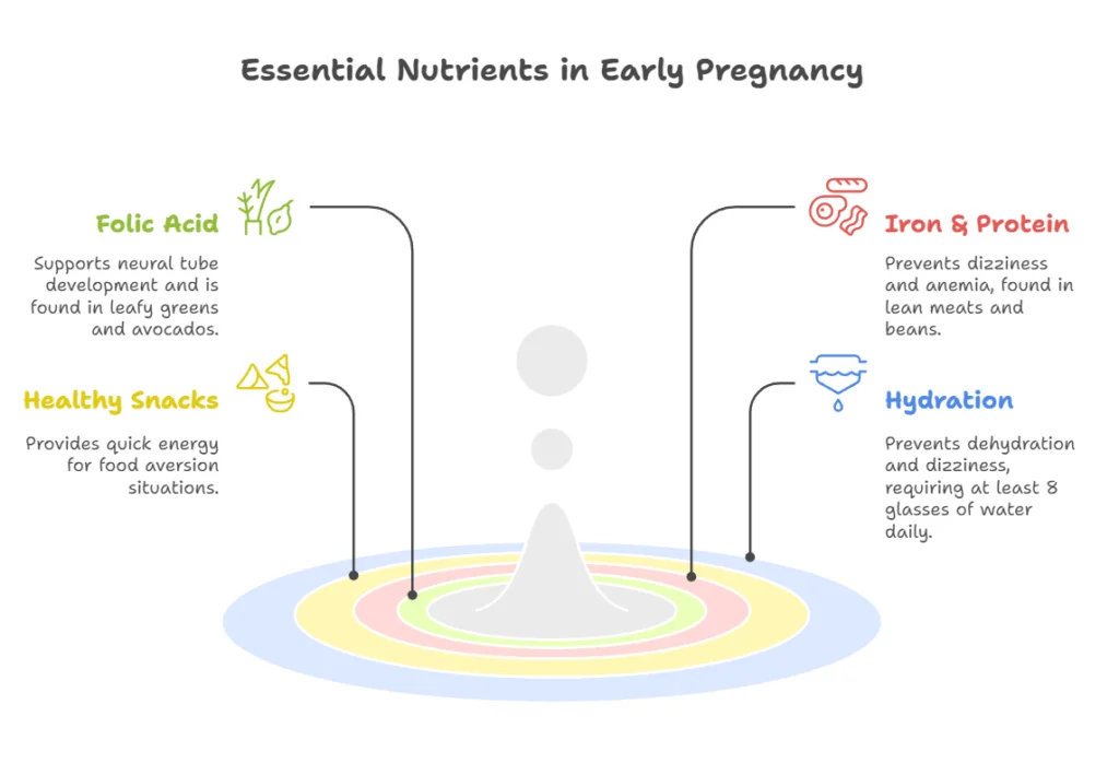 Essential Nutrients in Early Pregnancy