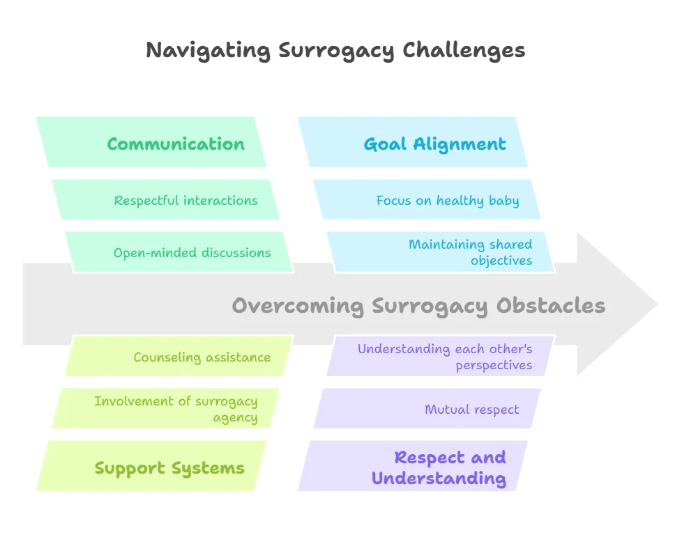 Navigating Surrogacy Challenges
