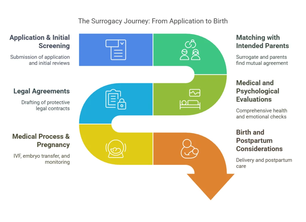 The Surrogacy Journey: From Application to Birth