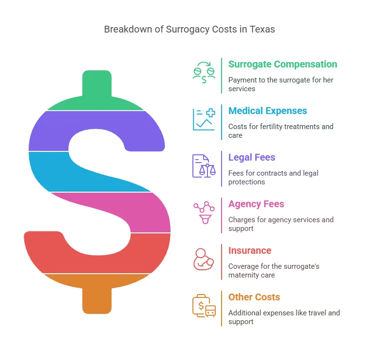 Breakdown of Surrogacy Costs in Texas
