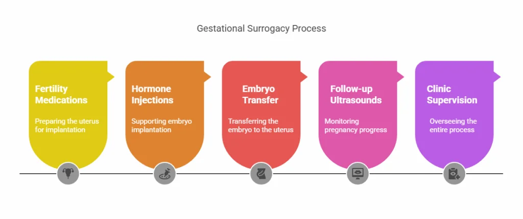 Gestational Surrogacy Process