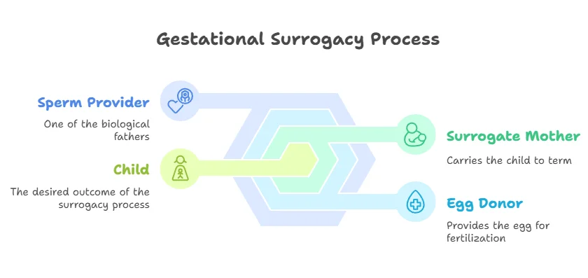 Gestational Surrogacy Process