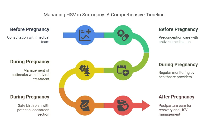 Managing HSV in Surrogacy: A Comprehensive Timeline