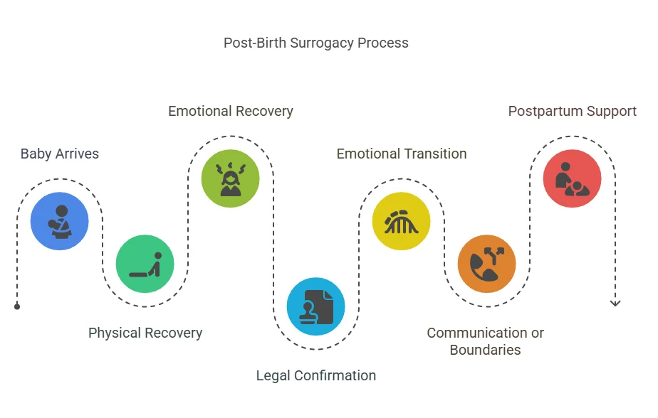 Post-Birth Surrogacy Process