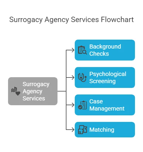 Surrogacy Agency Services Flowchart