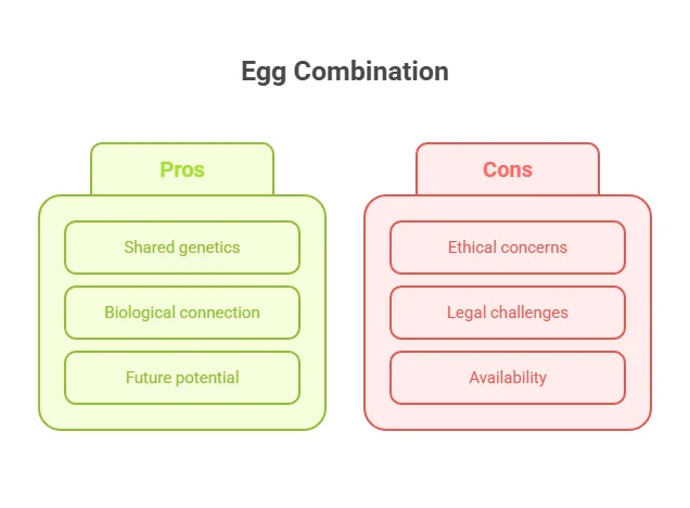 Egg Combination