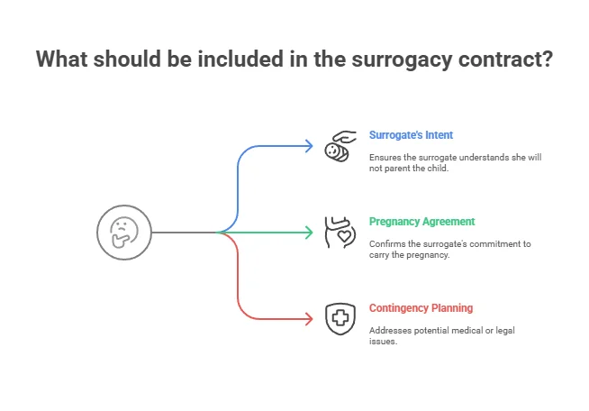 What should be included in the surrogacy contract?