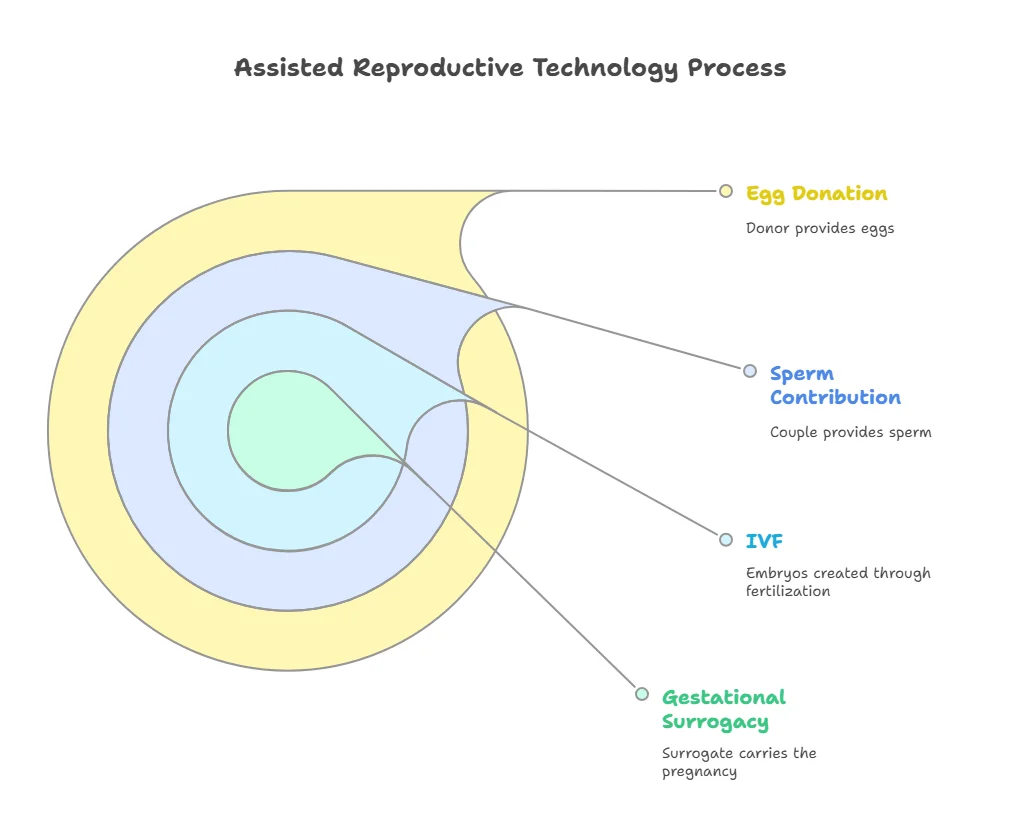 Assisted Reproductive Technology Process