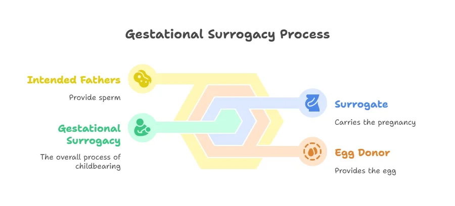 Gestational Surrogacy Process