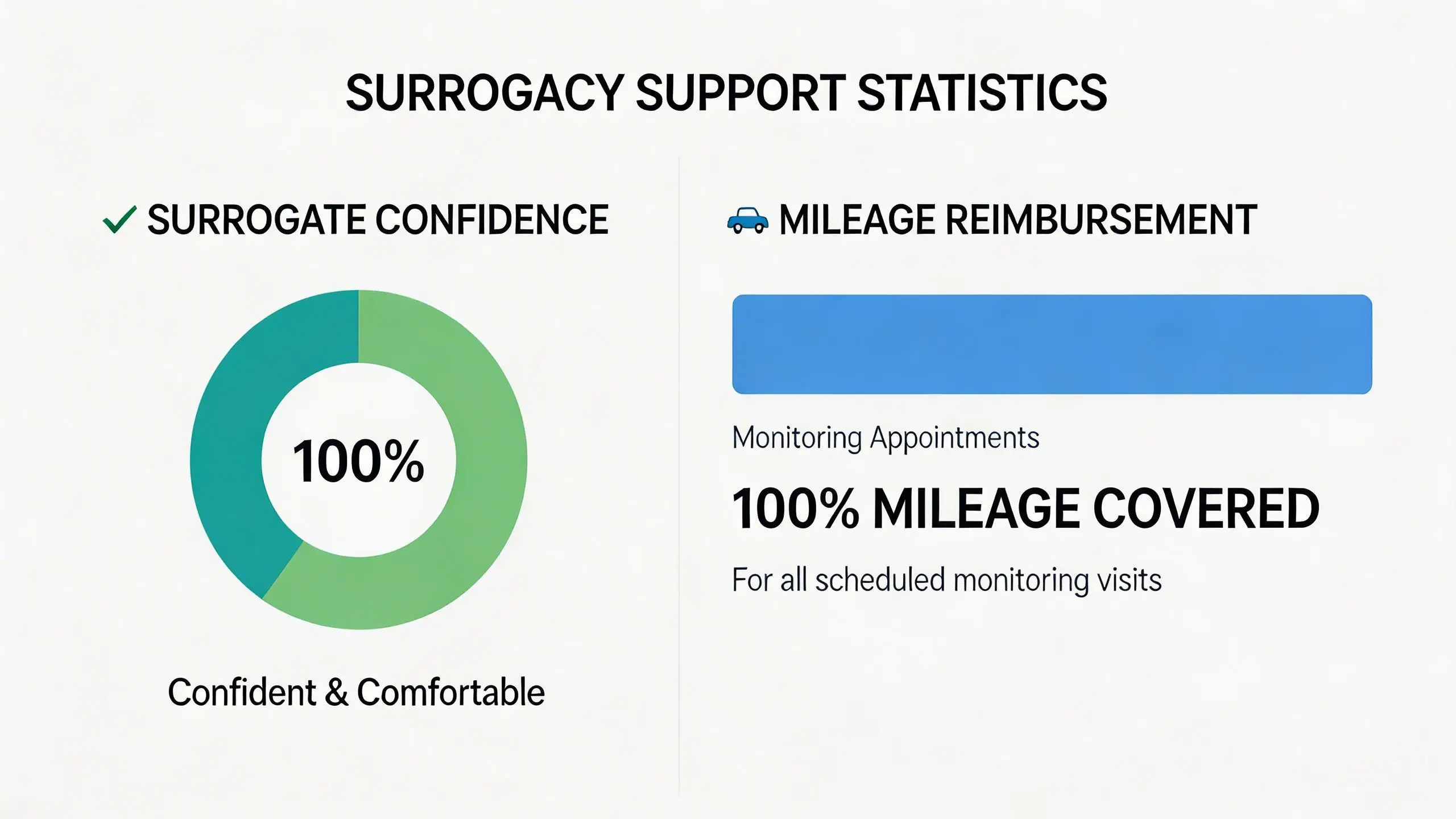 数据可视化图:100% confident and comfortable...
