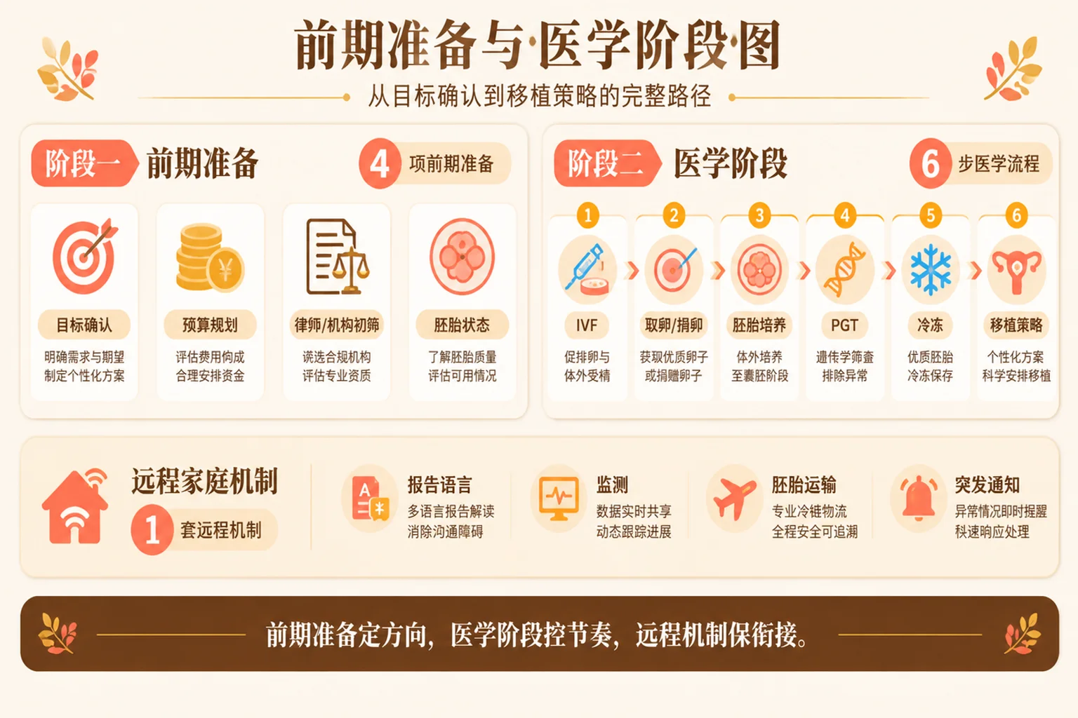 前期准备与医学阶段信息图
