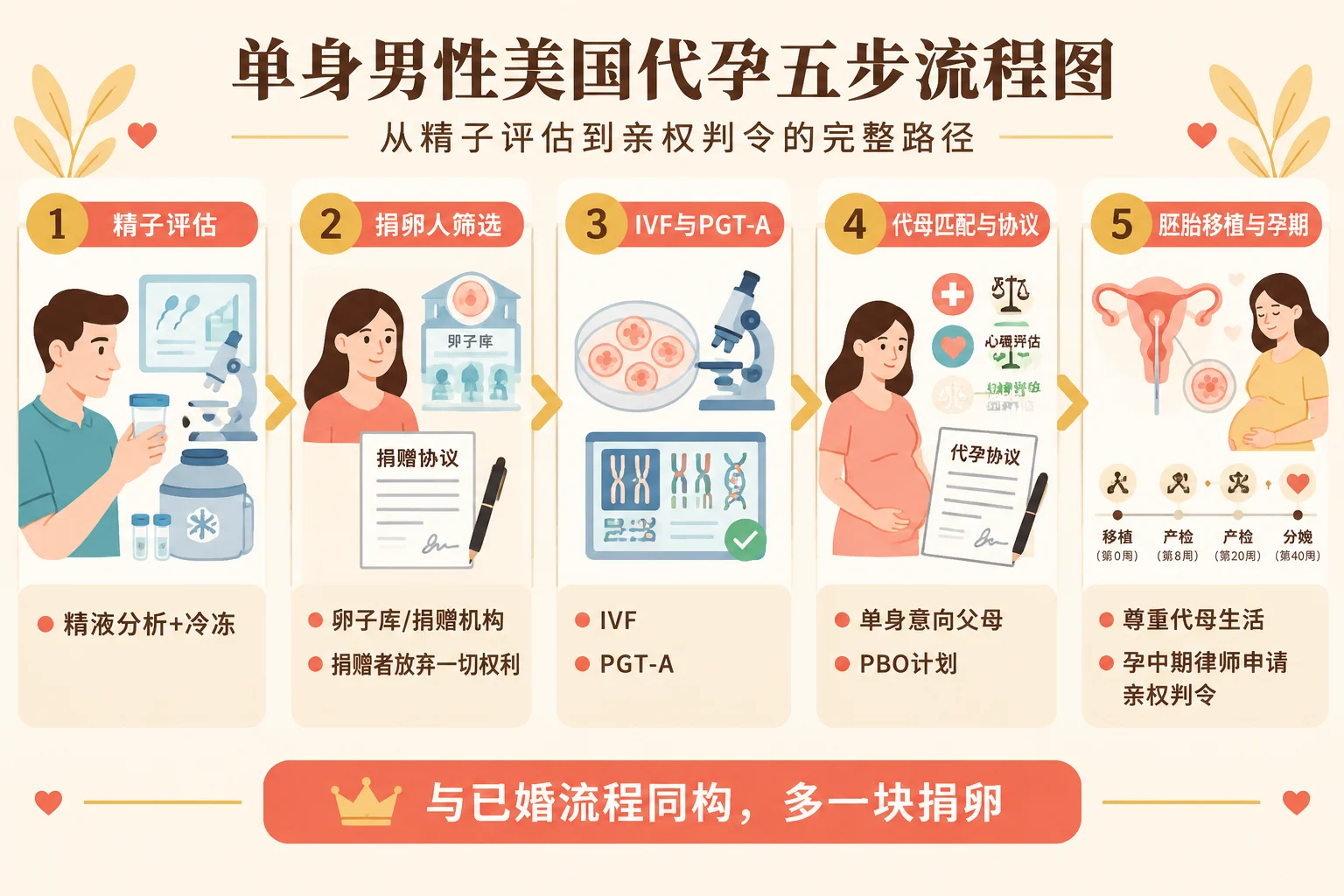 单身男性代孕五步流程信息图